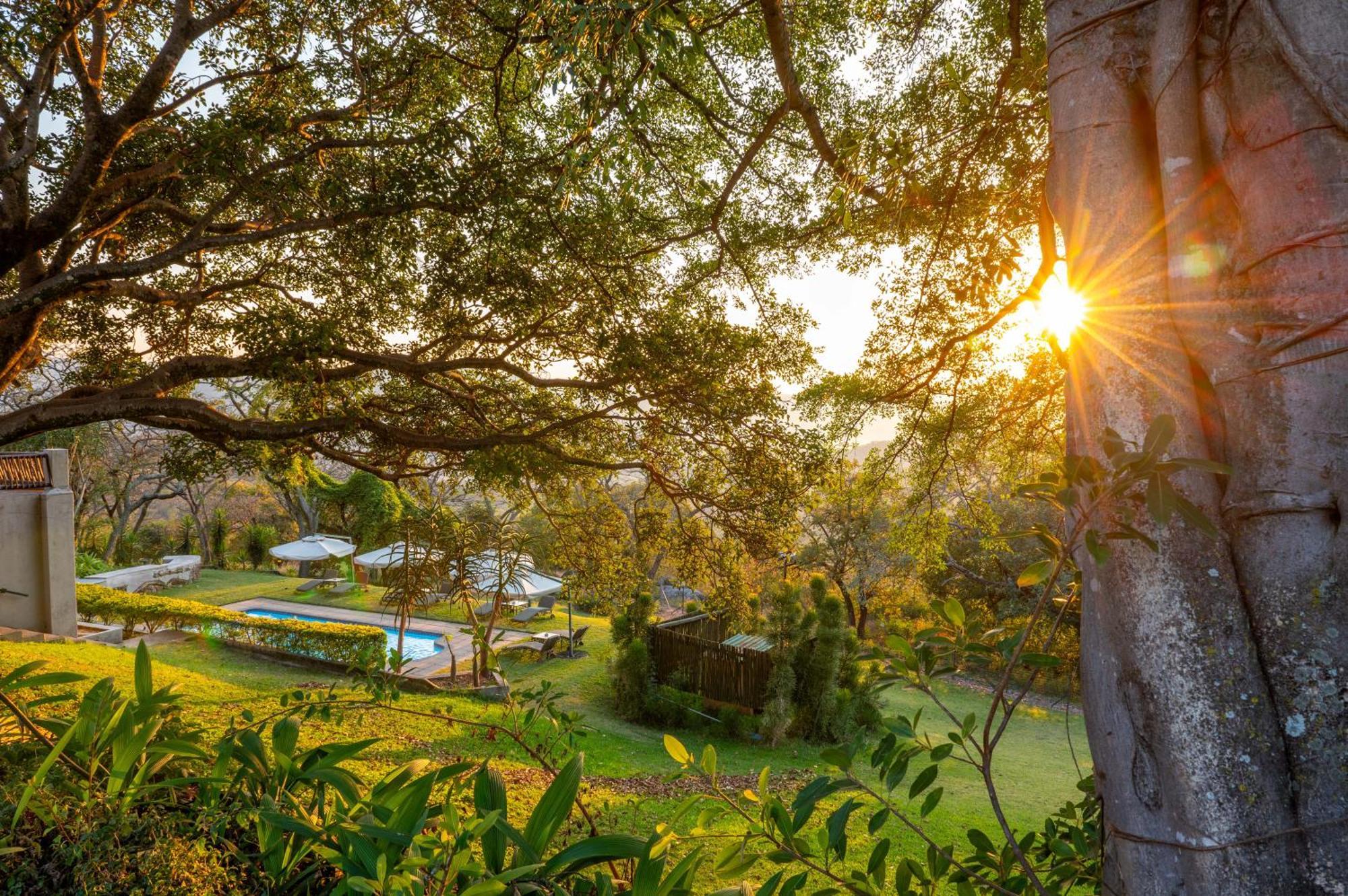 Chestnut Country Lodge 雾观 外观 照片