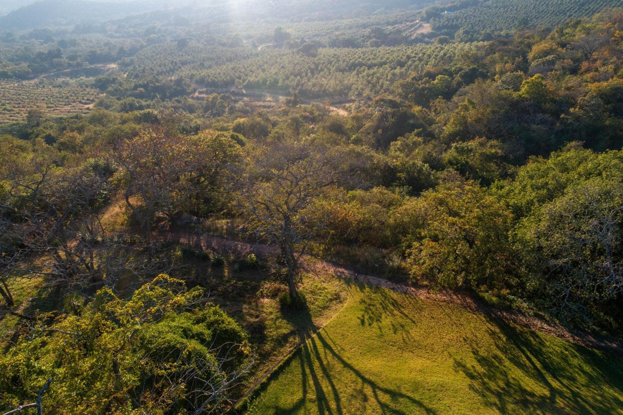 Chestnut Country Lodge 雾观 外观 照片