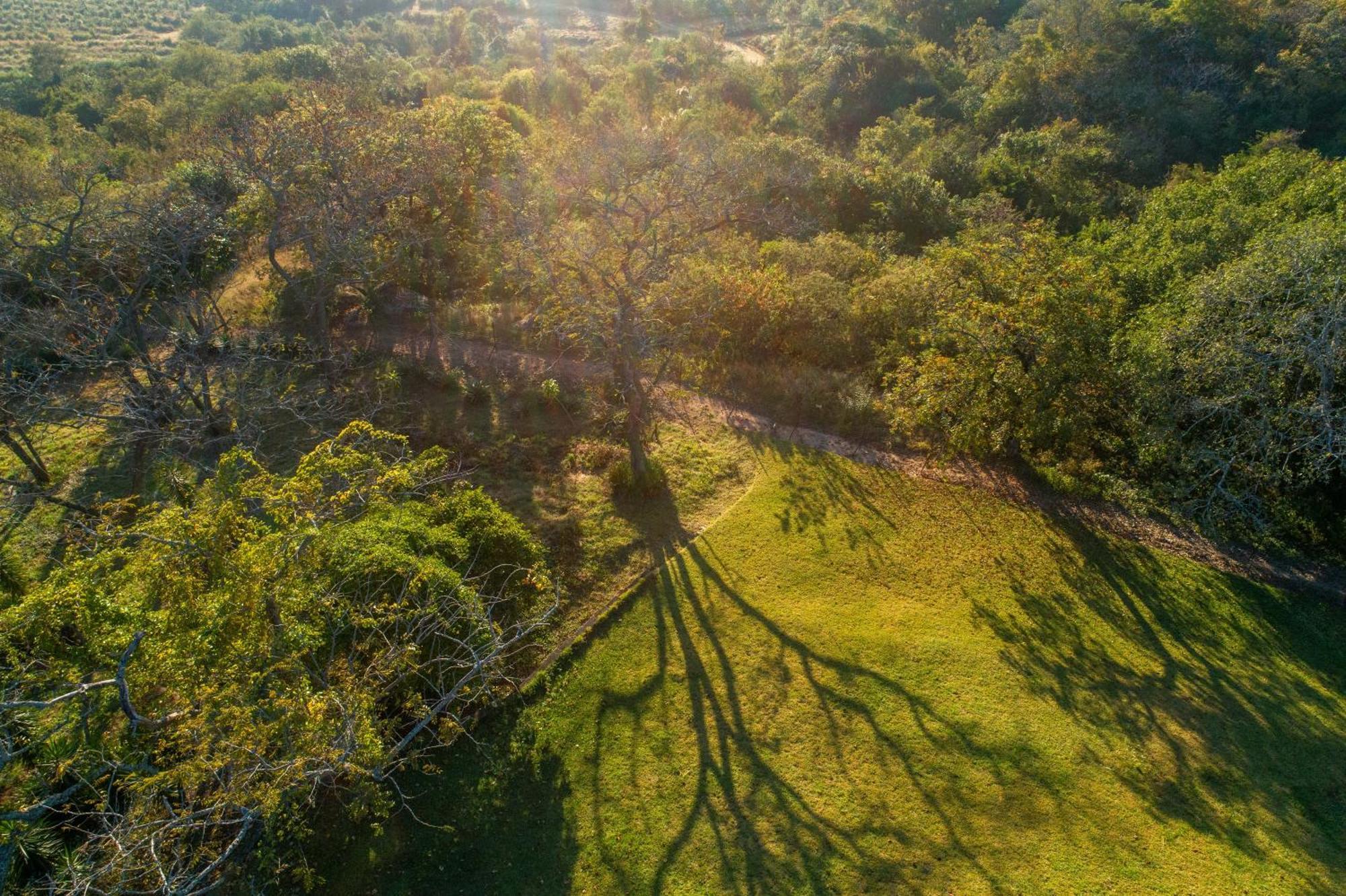 Chestnut Country Lodge 雾观 外观 照片